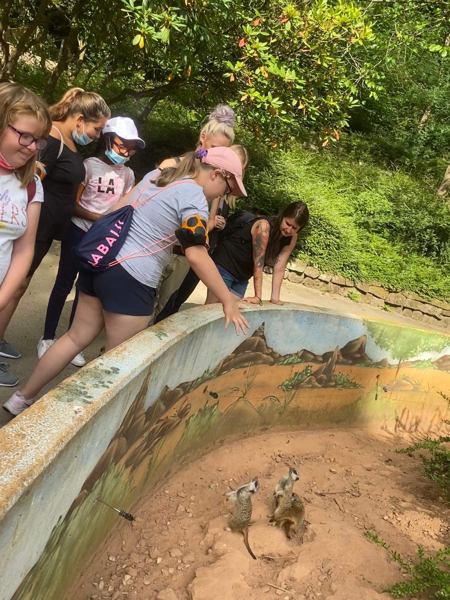 F%C3%BCttern%20der%20Erdm%C3%A4nnchen%20mit%20Mehlw%C3%BCrmern F%C3%BCttern%20der%20Erdm%C3%A4nnchen%20mit%20Mehlw%C3%BCrmern